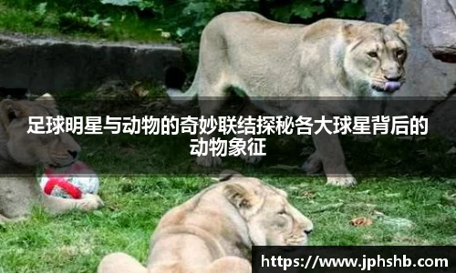 星空.综合体育(中国)官方网站