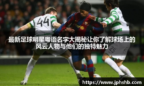 星空.综合体育官网